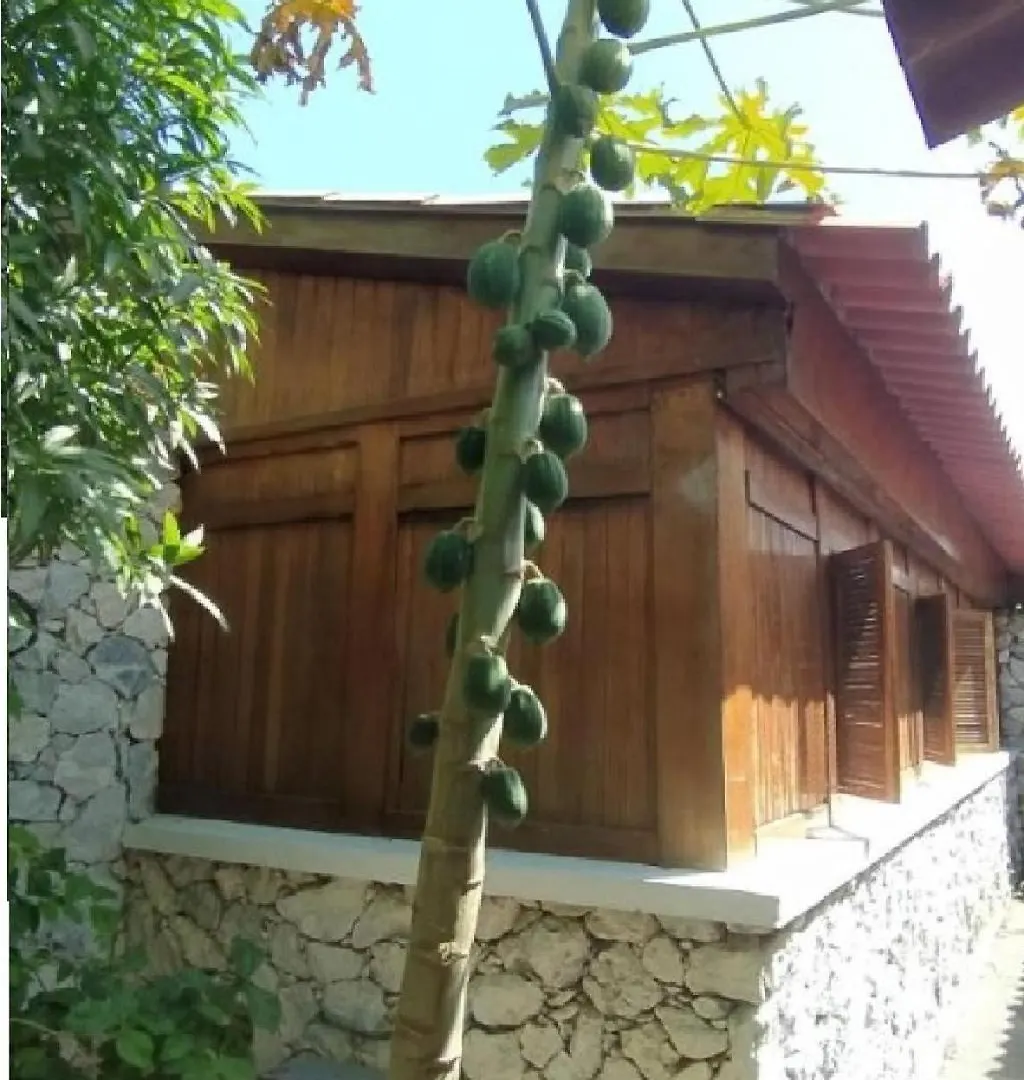 Cabana Parejas Y Familias Condominio Campestre Cerca Rodadero Con Piscinas Santa Marta  Colombia